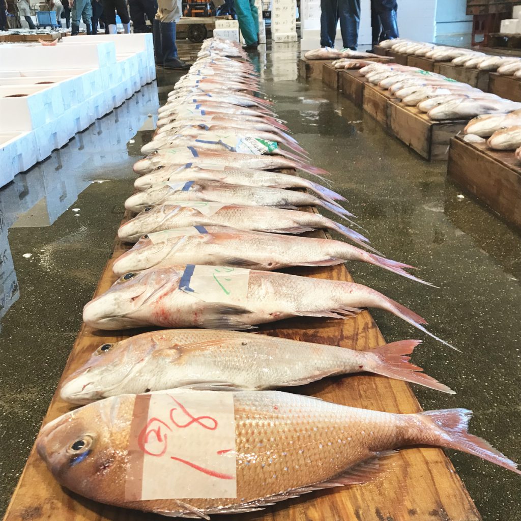魚市場のセリの様子
