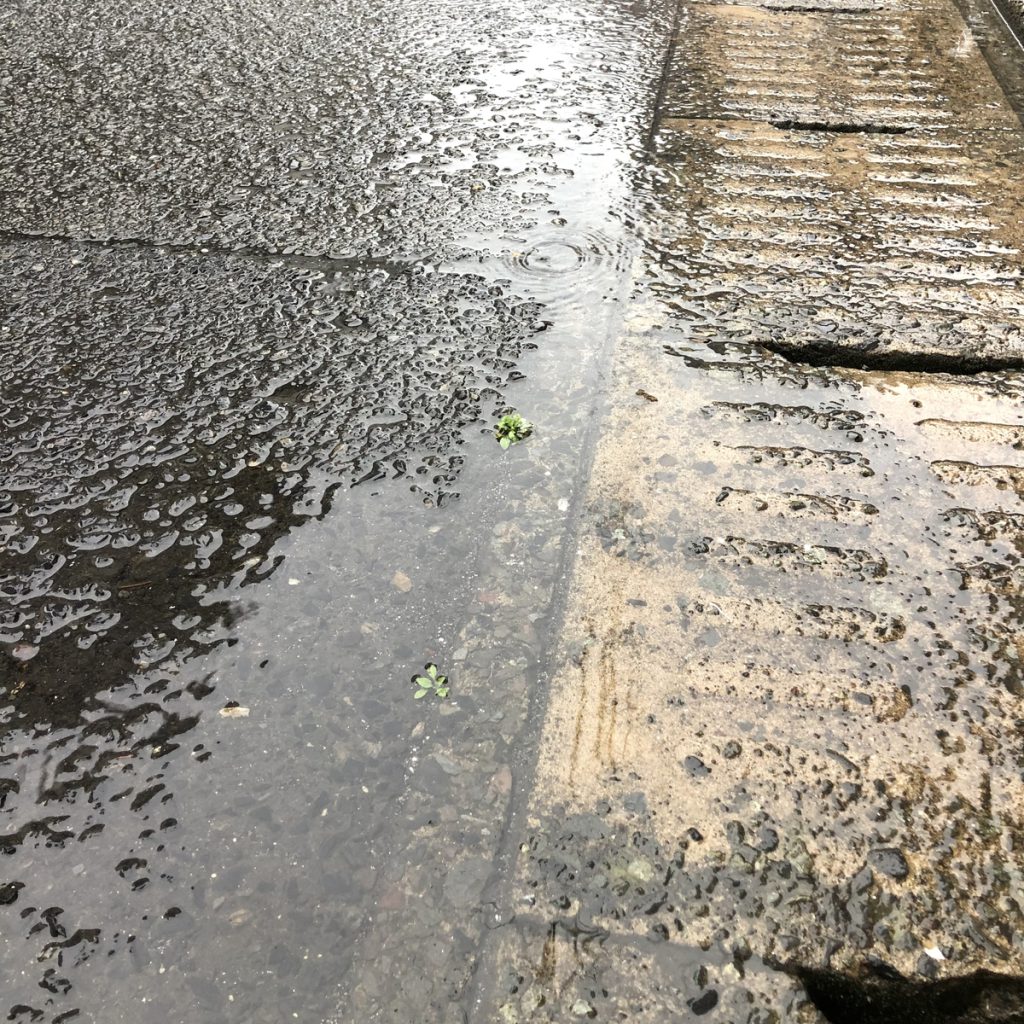 雨天の地面